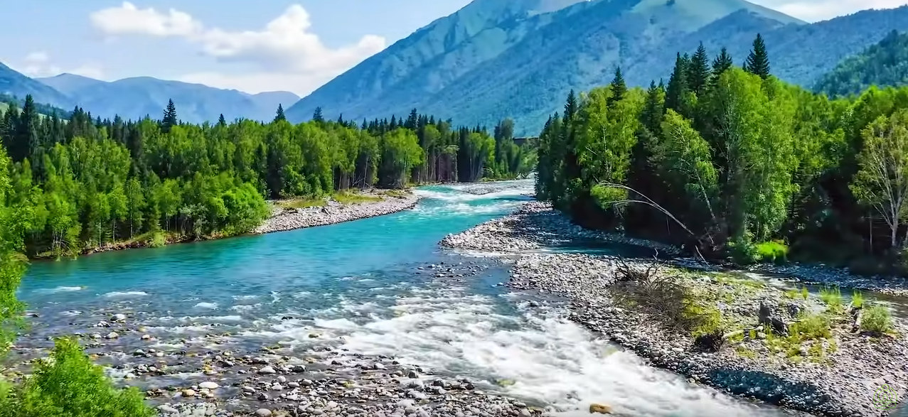 Un lac calme entouré de montagnes et de verdure